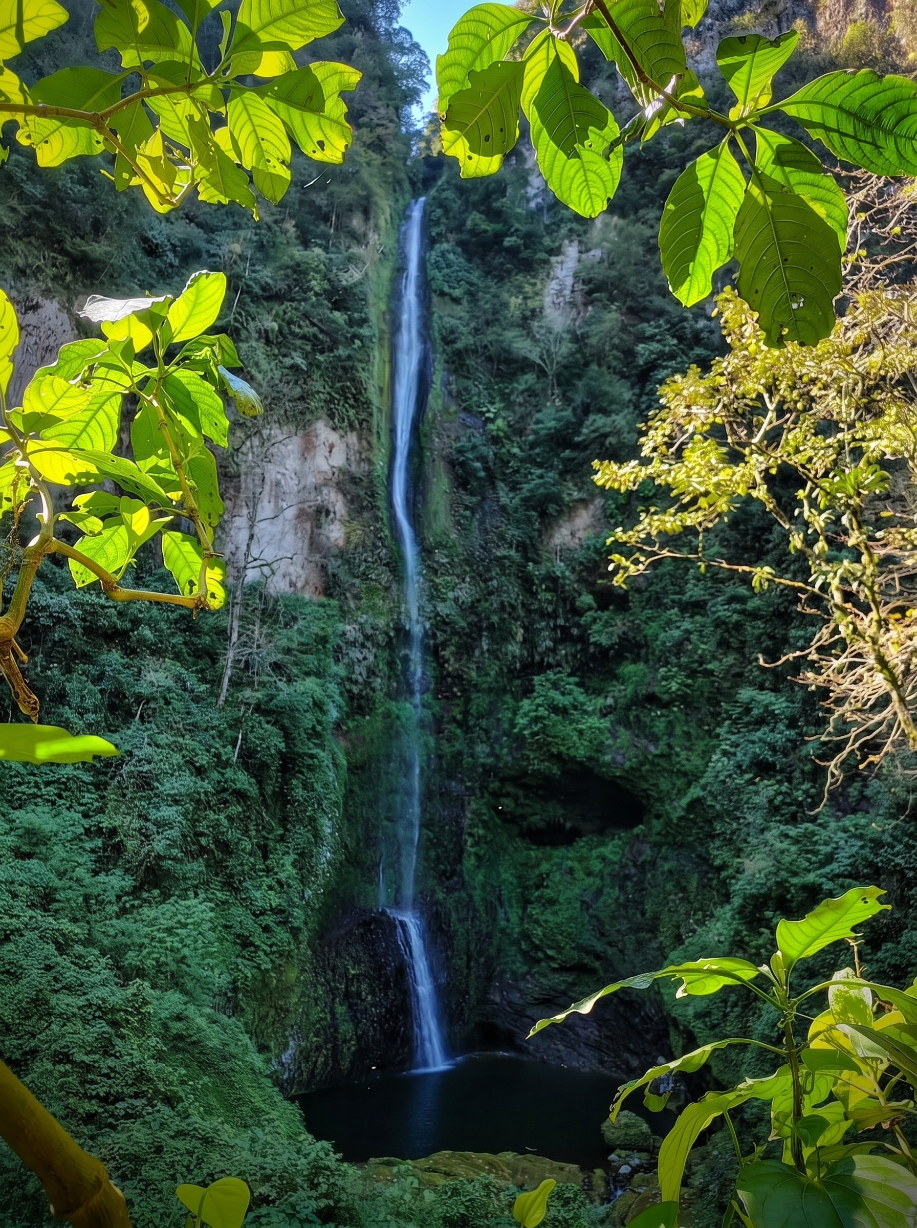 Paisaje Tonayán 4