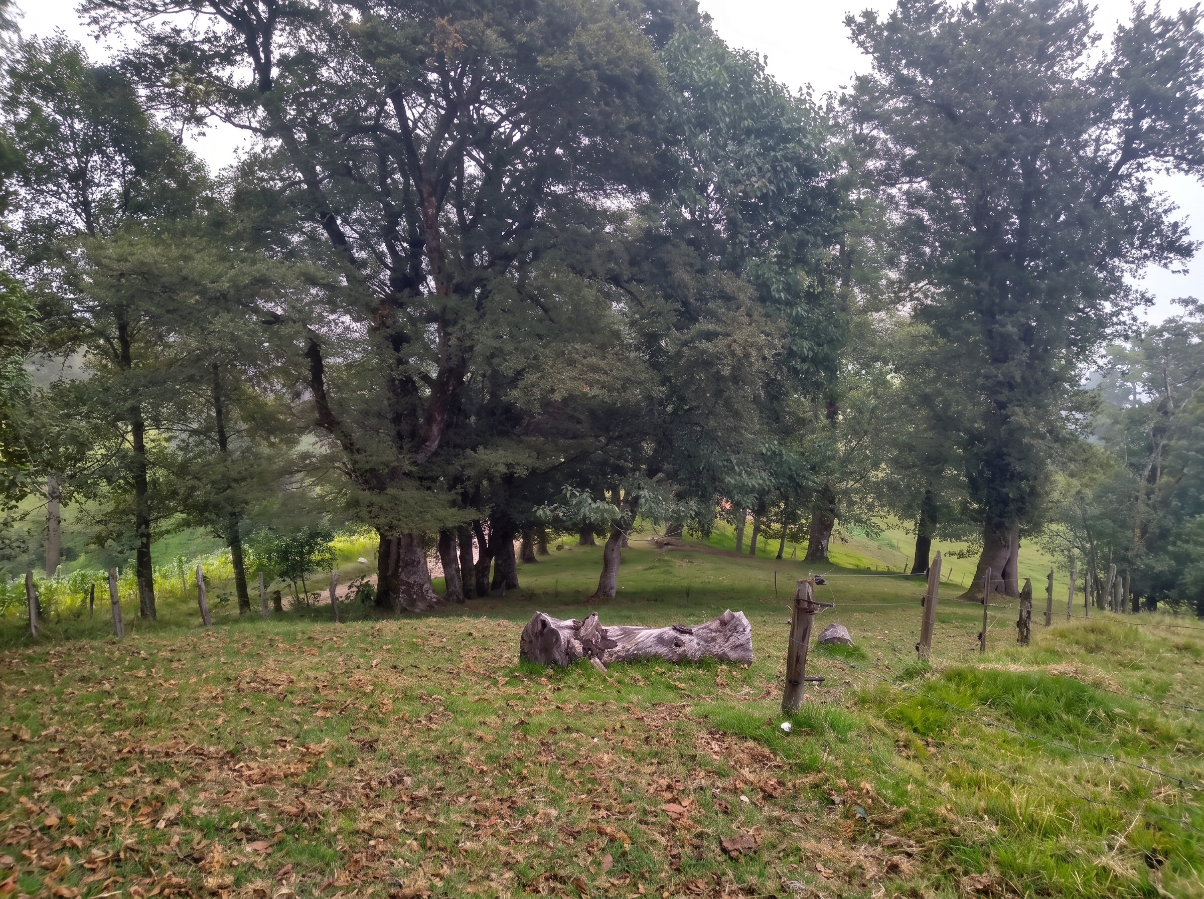 Paisaje Tonayán 5