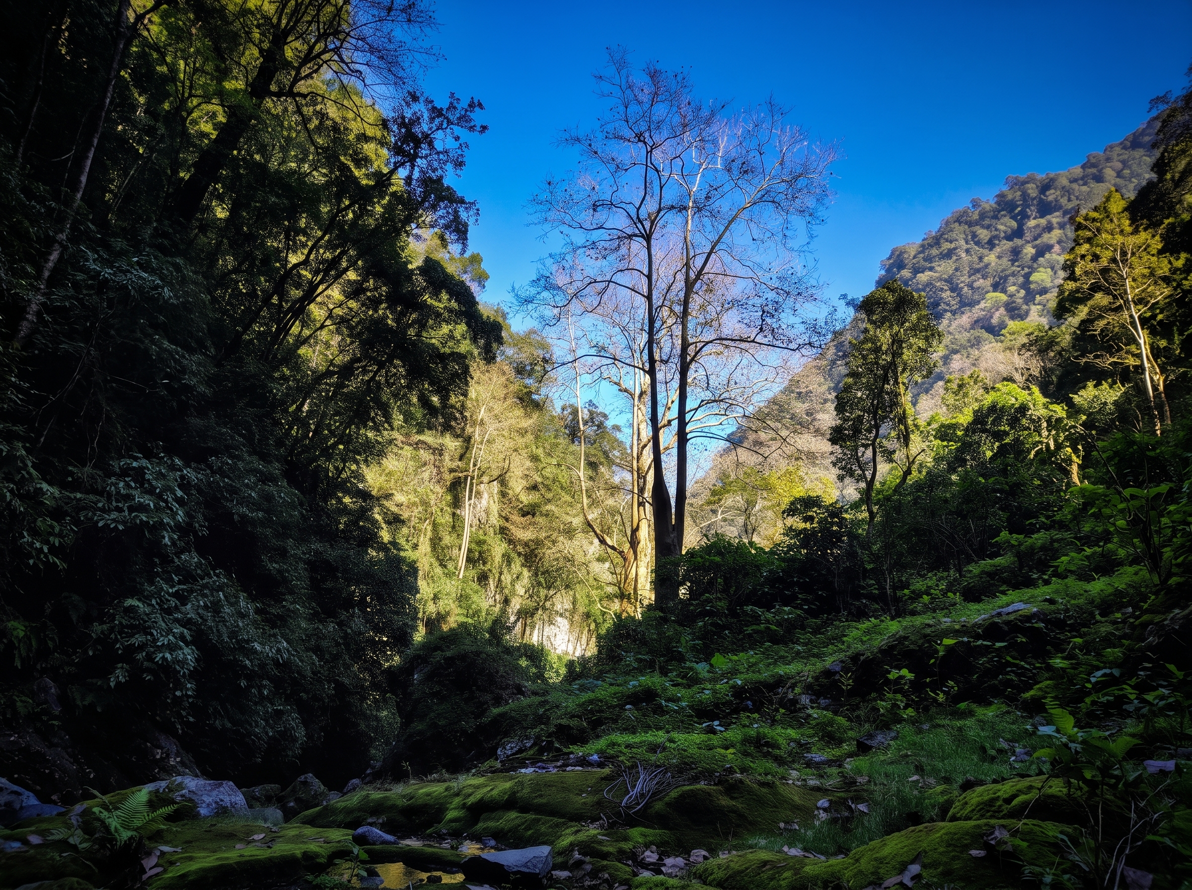 Paisaje Tonayán 7