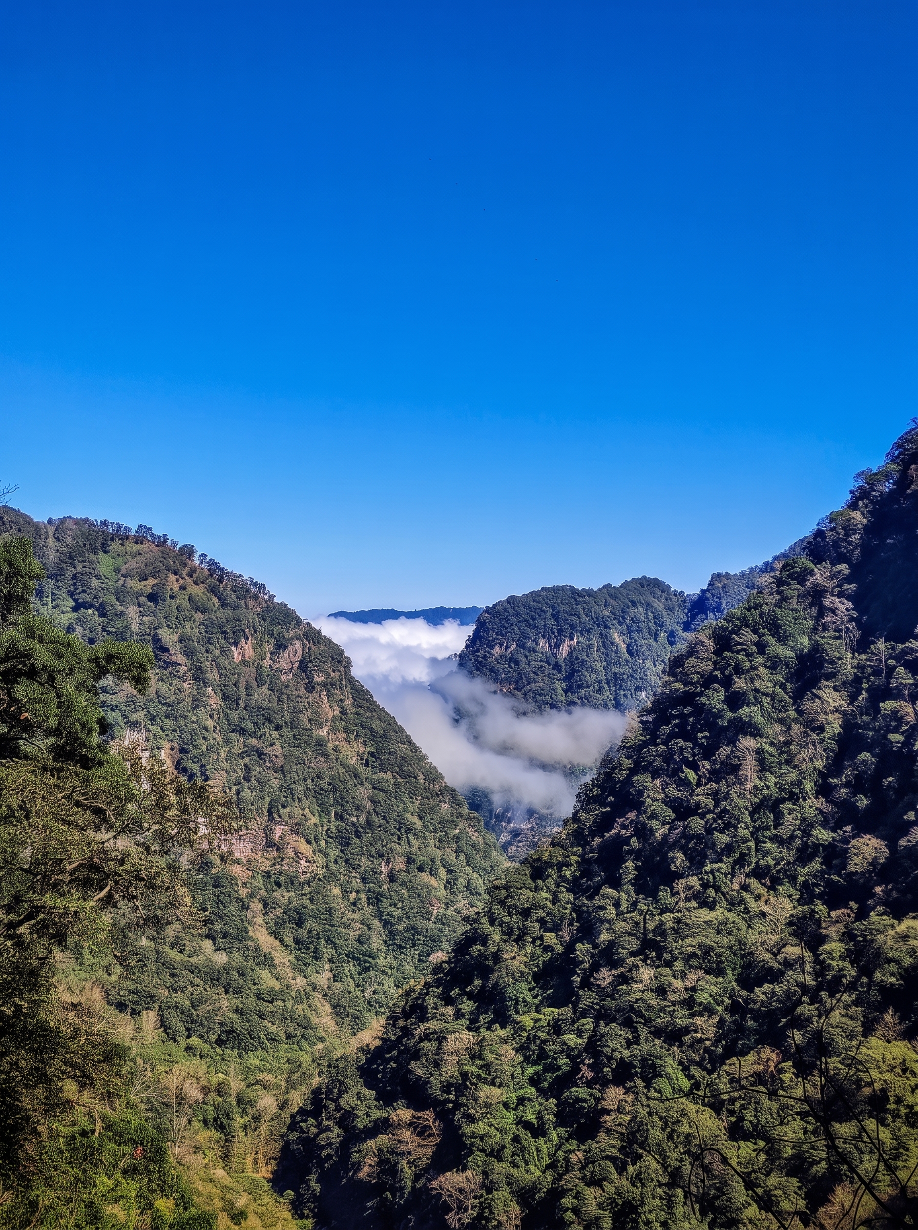Paisaje Tonayán 9